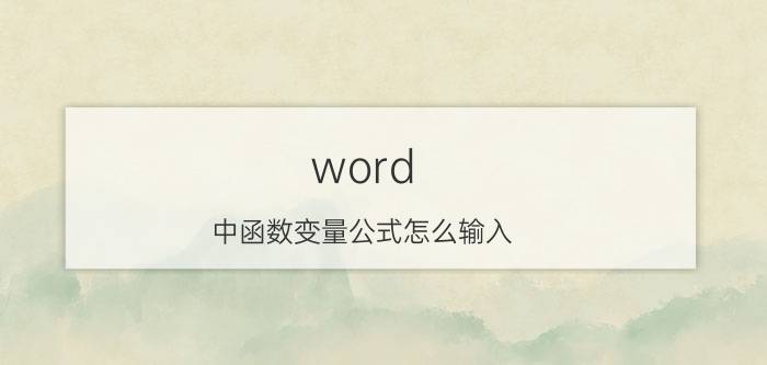 word 中函数变量公式怎么输入 word是变量的标识符吗